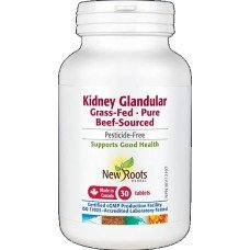 Kidney Glandular Kidney Glandular